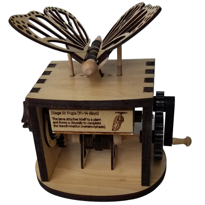 Front facing view of assembled butterfly automaton on white background. Shows one of the butterfly facts that display while cranking wheel.